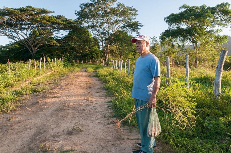 Farmer in Chaguaramal, Miranda State, Venezuela