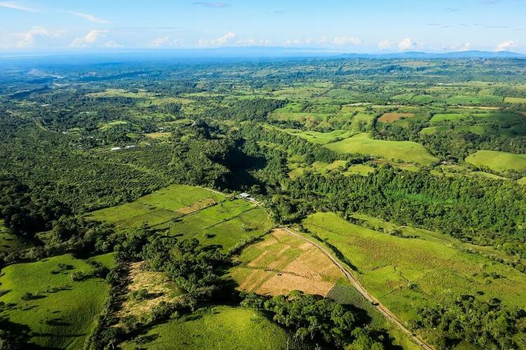 Farmland landscape, Chiriqui Province, Panama