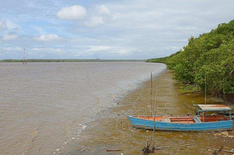 Common estuary of the Cayenne and Montsinéry rivers, French Guiana