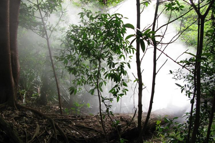 Steam emitted from a fumarole at Rincón de la Vieja Volcano National Park (Pailas de Agua), Costa Rica