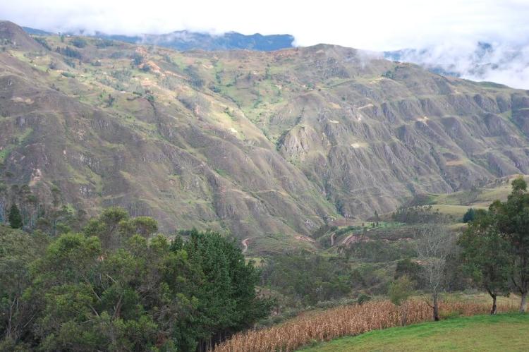 Hillside grain fields in the mountains of Saraguro, Ecuador