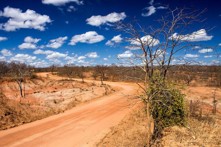 Road winding through the hinterland of Minas Gerais near the Grande Sertão Veredas National Park, Brazil