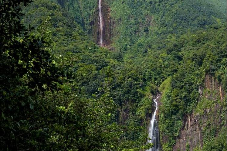 Waterfalls in Guadeloupe rainforest, Basse Terre 