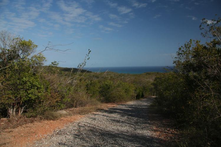 Guánica State Forest, Puerto Rico