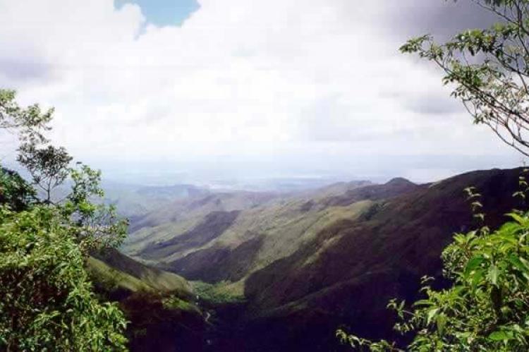 Henri Pittier National Park, in the Venezuelan Coastal Range.