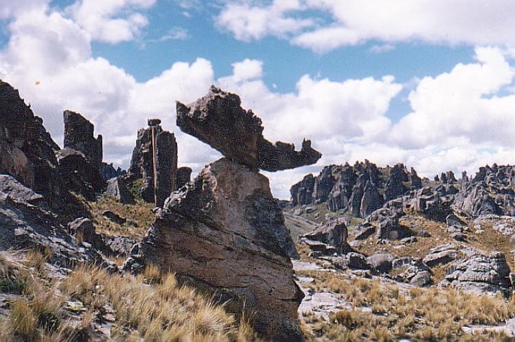 Rock Forest of Huayllay, Peru