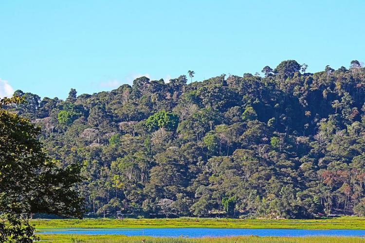 Humedal Laguna El Oconal, Oxapampa-Ashaninka-Yanesha Biosphere Reserve, Peru