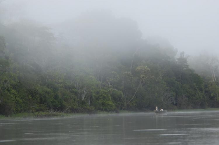 Tamshiyacu Tahuayo Regional Conservation Area near Iquitos, Peru