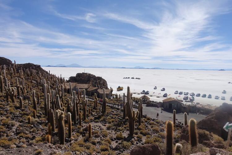 Salar de Uyuni, Isla Incahuasi (Bolivia)