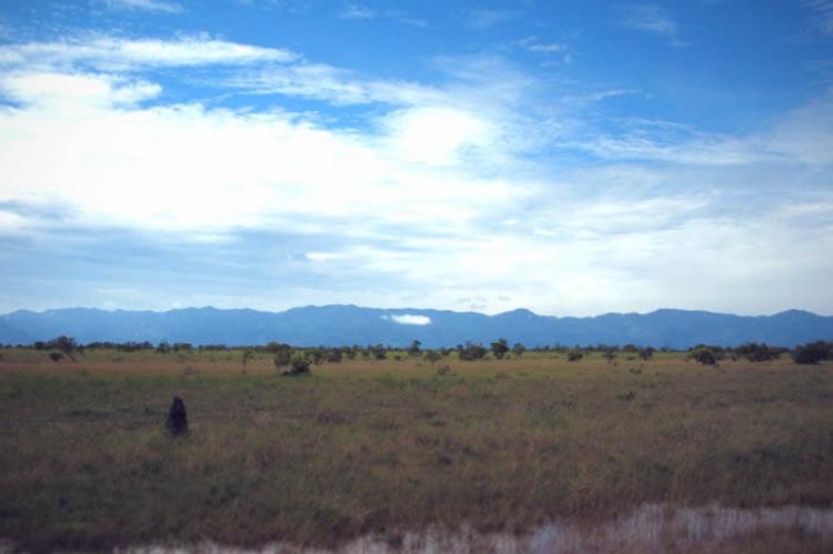 Kanuku Mountains viewed from near Lethem, North Rupununi, Guyana
