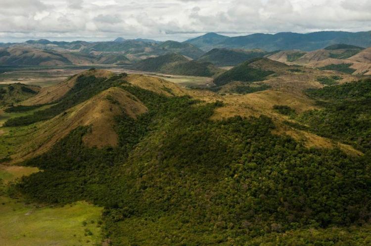 Kanuka Mountains panorama, Guyana