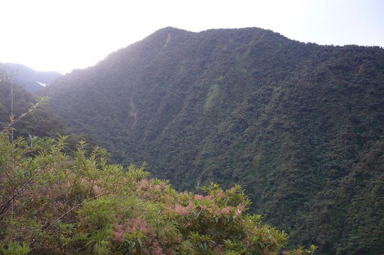 Kosñipata Valley, Manu National Park, Peru