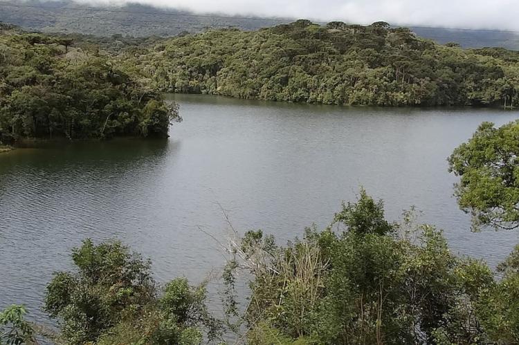 Lake in Mata Atlântica Biosphere Reserve, Brazil