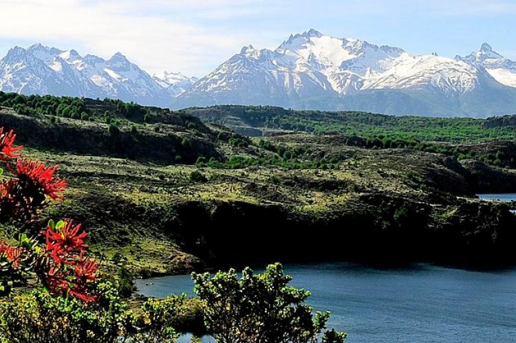 Tamango Lake with a chilean firebush in the foreground, Cerro Castillo range, Aysén, Chile