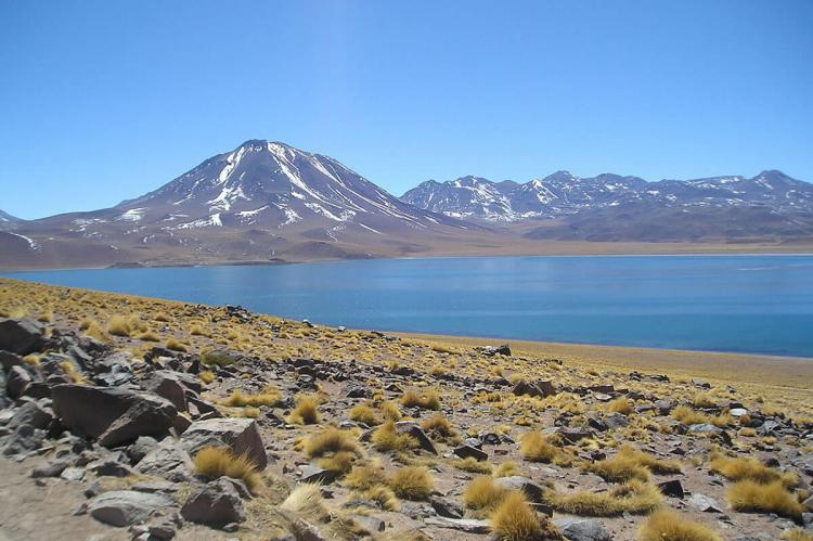 Laguna Miscanti and Cerro Miscanti, south of San Pedro de Atacama, Chilean Altiplano