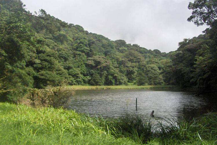 Laguna Dantas: Inactive crater of the Tenorio Volcano (Costa Rica)