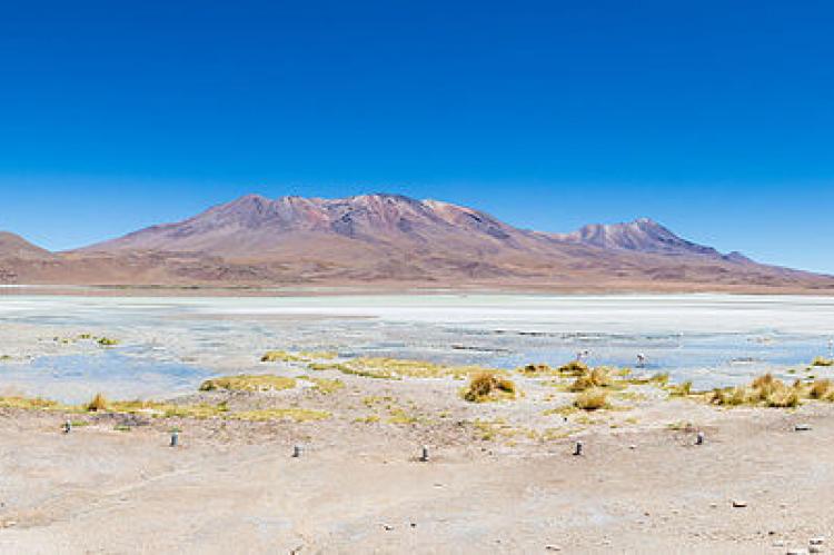 Panoramic view of Laguna Hedionda, Nor Lípez Province, southwestern Bolivia