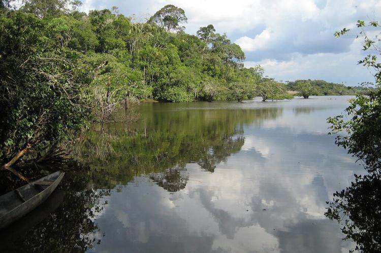 View of lagoon in Cuyabeno National Park, Ecuador