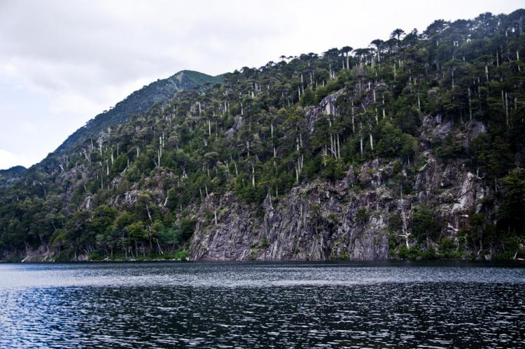 Laguna Toro, Huerquehue National Park (Chile)