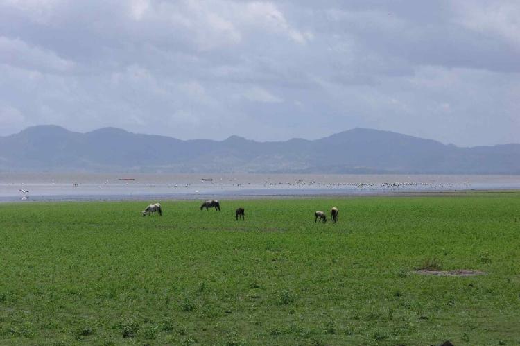 View of Lake Nicaragua, Puerto Díaz, Chontales, Nicaragua