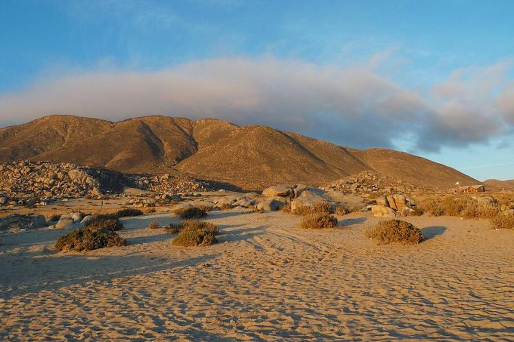 Landscape at Llanos de Challe National Park, Región de Atacama, Chile
