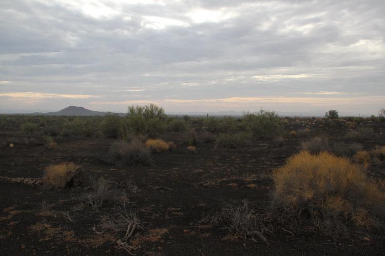 Landscape of the El Pinacate and Gran Desierto de Altar Biosphere Reserve, Mexico