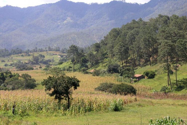 Landscape: Tunajá Segunda, Zacualpa, Guatemala