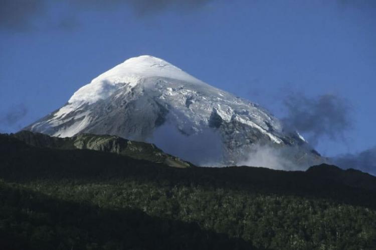 View of the Lanin Volcano and the forest from Paimun Lake, Argentina 