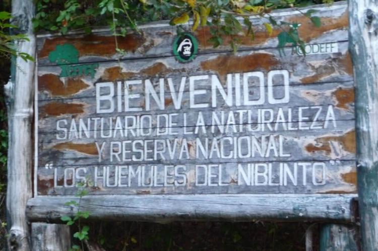 Los Huemules de Niblinto National Reserve and Nature Sanctuary, Chile