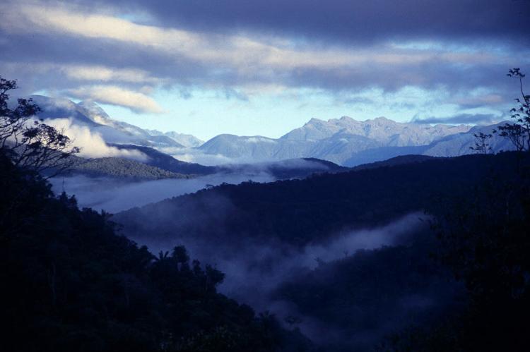Panorama over Madidi National Park, Bolivia