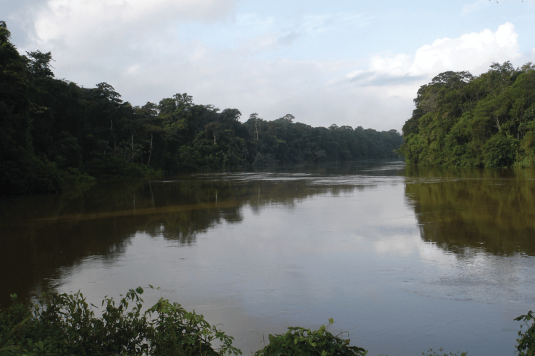 Mana River at Angoulême, French Guiana