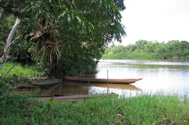 Maroni River from Suriname looking toward French Guiana