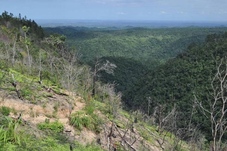 Maya Mountains, Cayo District, Belize
