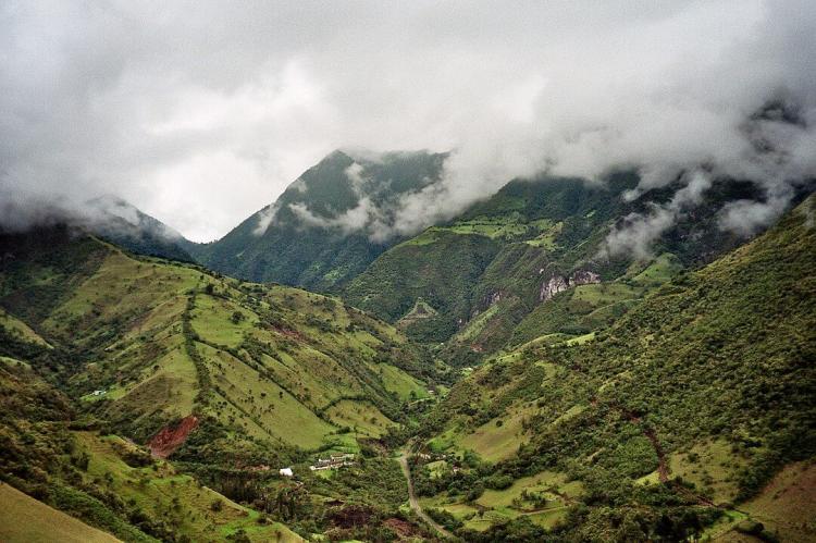 Cloud forest, Mindo Valley, Ecuador
