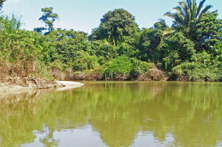Monkey River, Belize