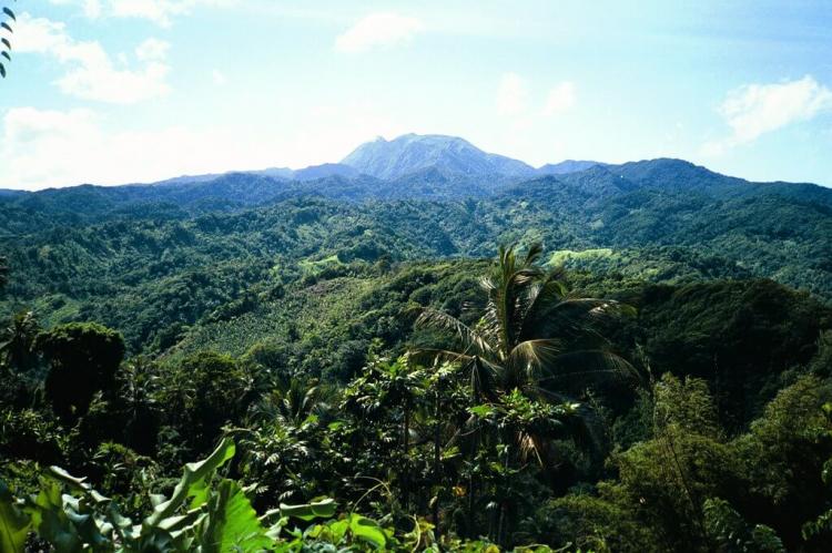 Morne Diablotin panorama, Dominica