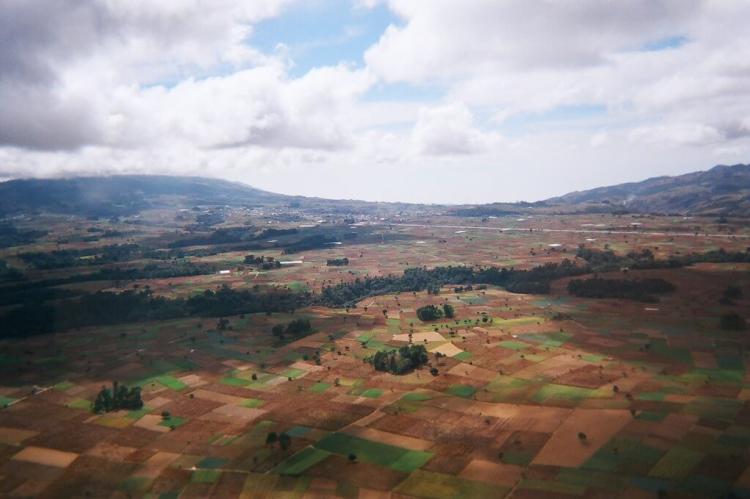 Landscape of mixed agriculture and trees in Guatemala