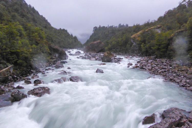 Rushing mountain stream, Queulat National Park, Aysén, Chile
