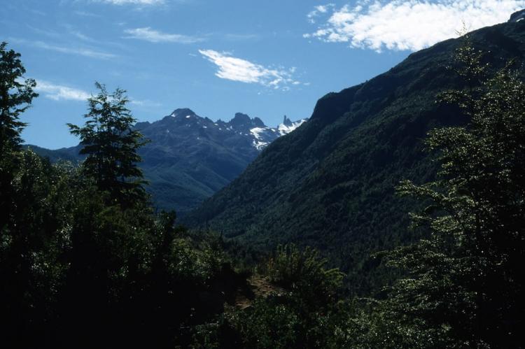 Mountains of Lago Puelo National Park, Argentina