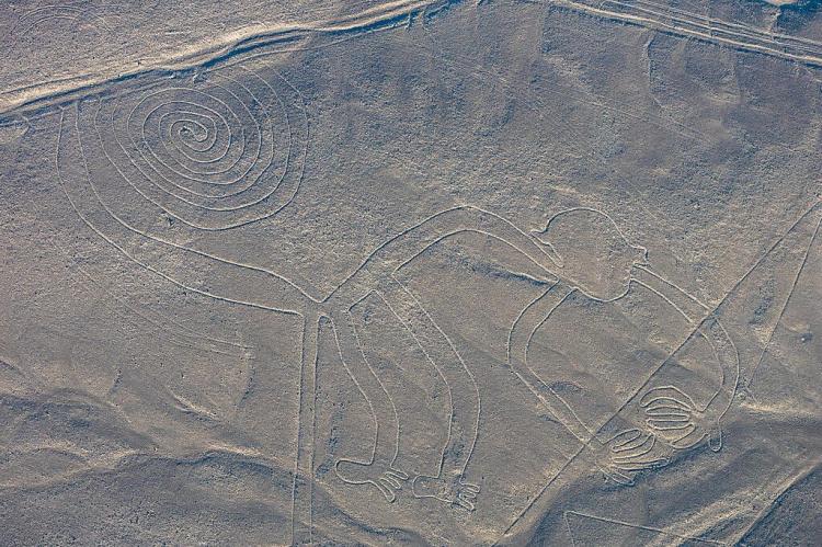 Aerial view of the "Monkey", one of the most popular geoglyphs of the Nazca Lines, which are located in the Nazca Desert in southern Peru