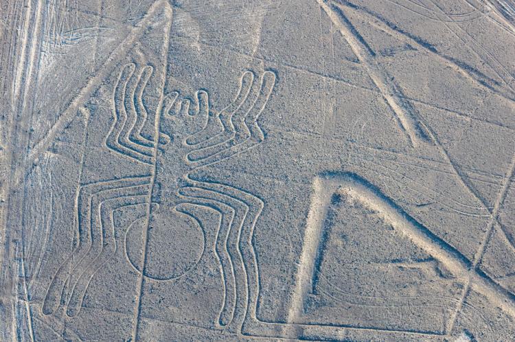 "The Spider" - Nazca Lines, Nazca, Peru