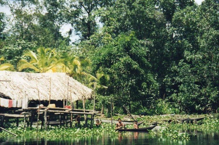 Typical stilted, thatched hut of the indigenous Warao in the Orinoco Delta, Venezuela