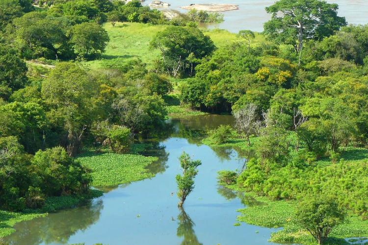 Orinoco River, Amazonas State, Venezuela