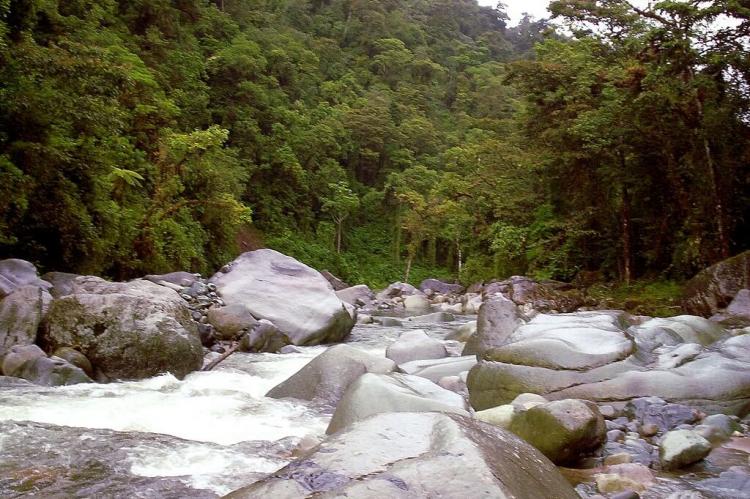 Orosi River, Tapanti National Park, Costa Rica