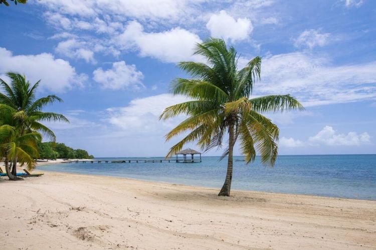Palmetto Bay Beach, Roatan, Honduras