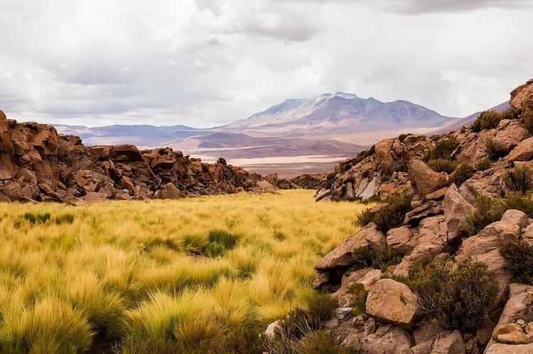 Landscape in the Aucanquilcha hills with the Olca volcano in the background, Antofagasta Region, Alto Loa National Reserve, Chile