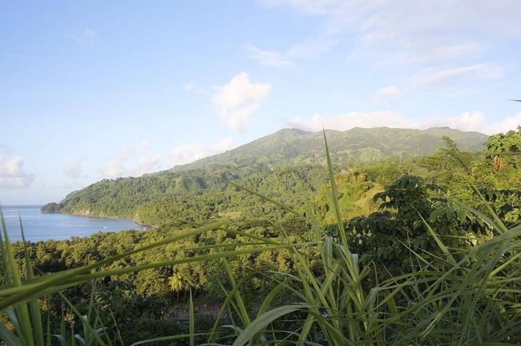 View from Richmond of the Leeward coast and the Soufriere Volcano, St Vincent and the Grenadines