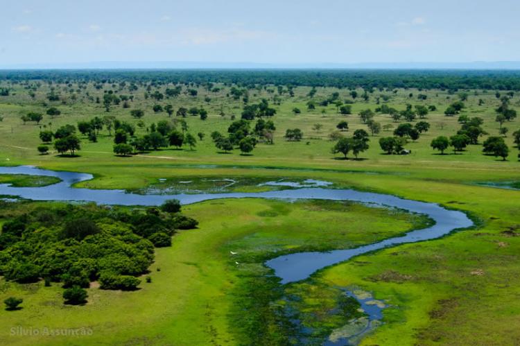 Pantanal landscape, Brazil