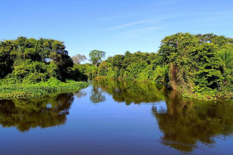 Flooded plain in the Pantanal, Brazil