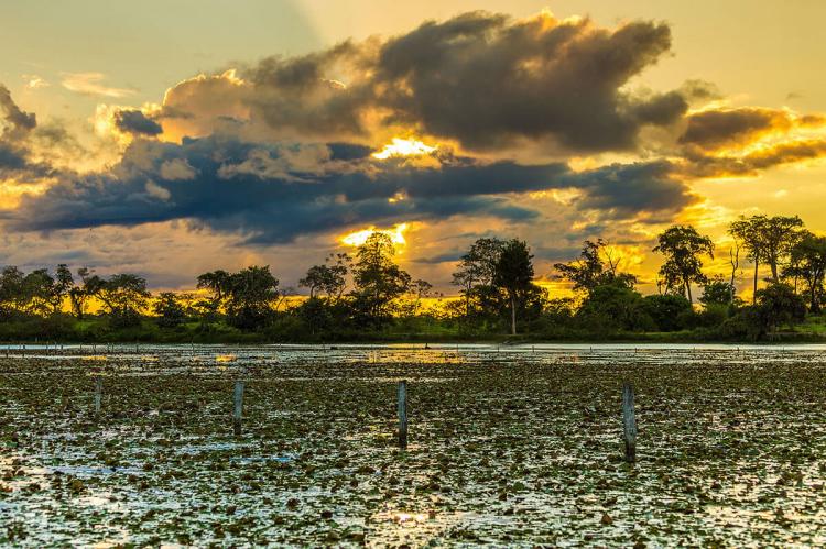 Pantanal sunset, Mato Grosso, Brasil